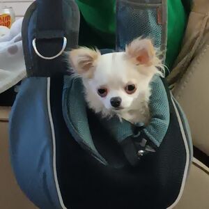 Stylish Blue Pet Carrier